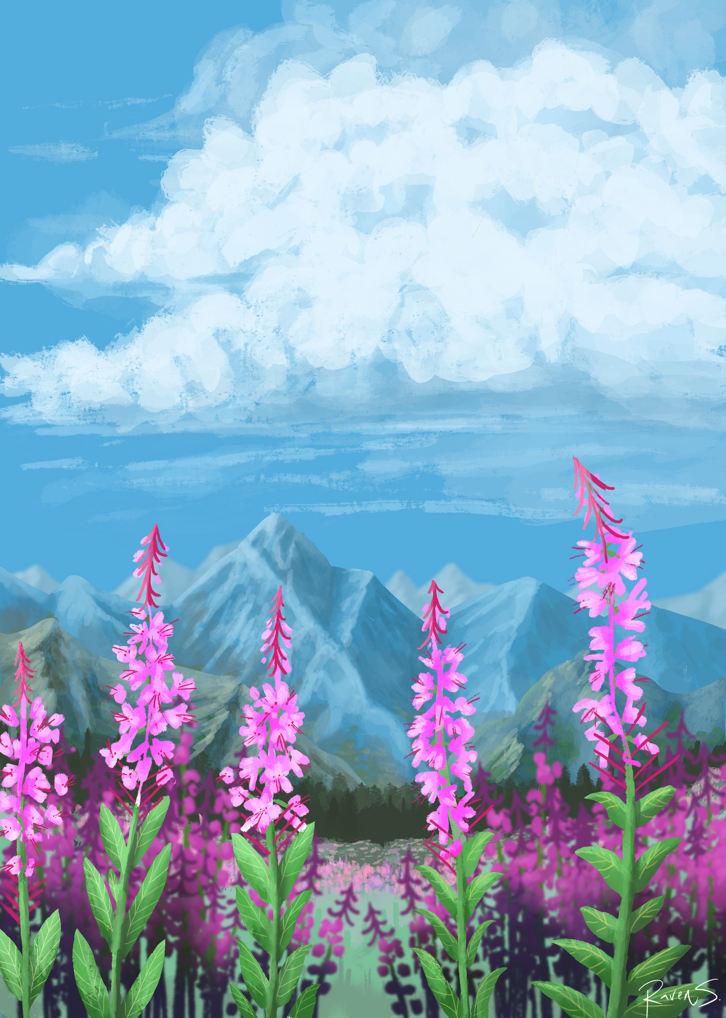 Fireweed Mountain