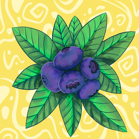 Blueberries